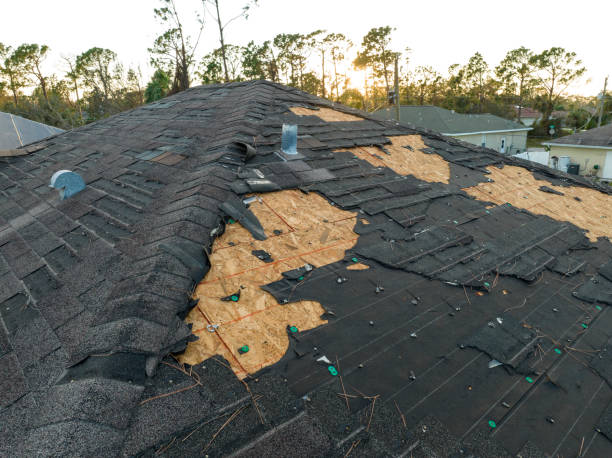 Best Metal Roofing Installation  in Thedral City, CA